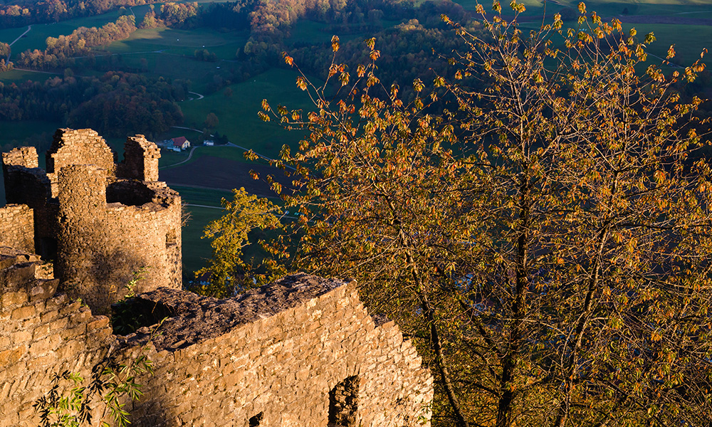 The ruins of Schenkenberg