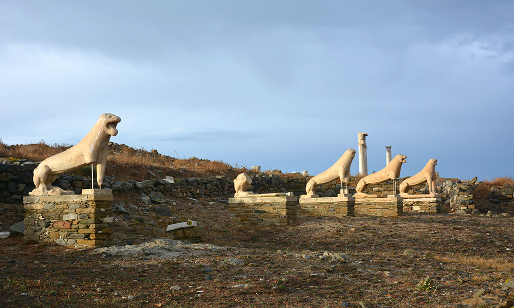 The Lions of Delos in the pilot site of the ARGUS project