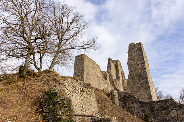 Schenkenberg Castle