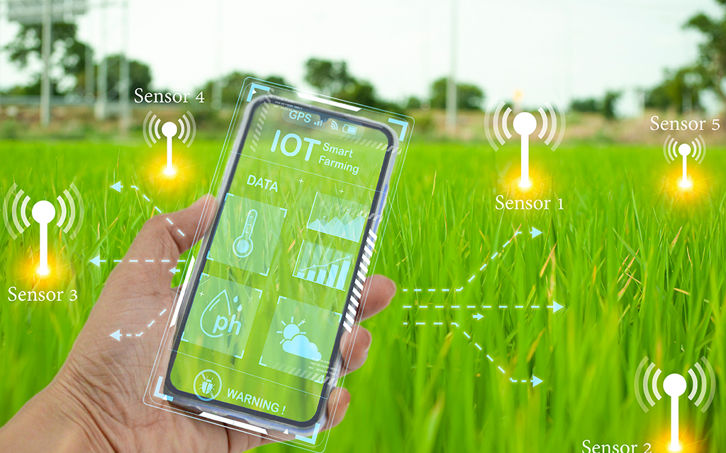 Hand holding a smartphone displaying IoT smart farming sensors and wireless data connections in a green field.