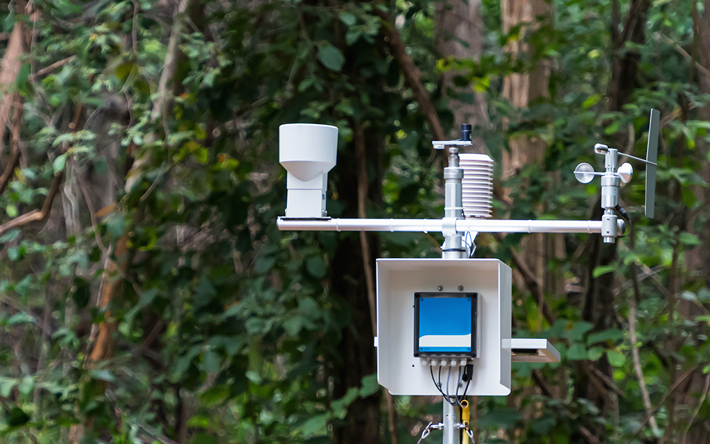 Automated weather station in a forest used for environmental data collection and climate monitoring.